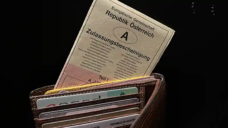 &copy; R. Vidmar (echonet)