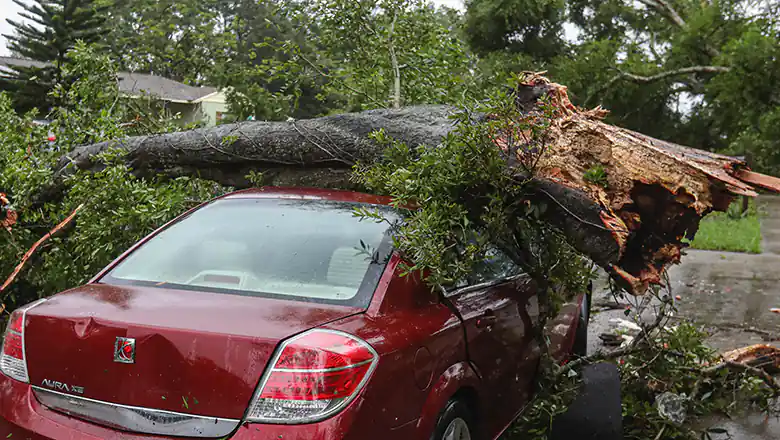 &copy; Mick Haupt / Unsplash 