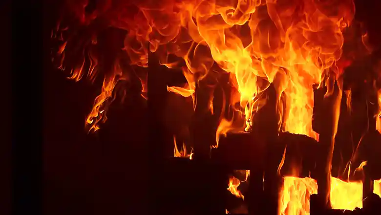 &copy; Karl Callwood / Unsplash 