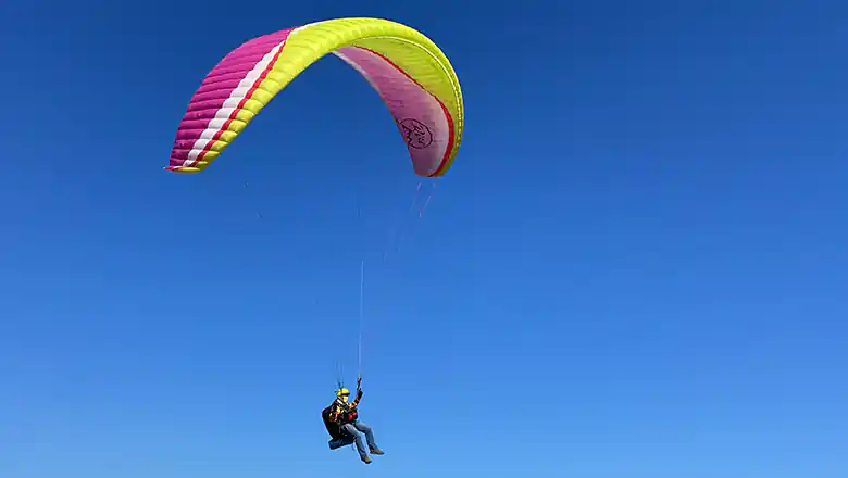 &copy; Pop & Zebra / Unsplash