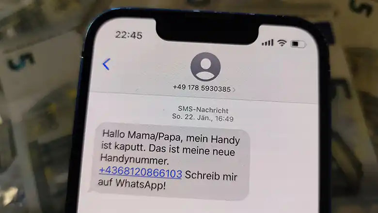 &copy; R. Vidmar (echonet)